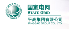 PINGGAO GROUP