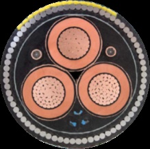 Insulated  Power Cable